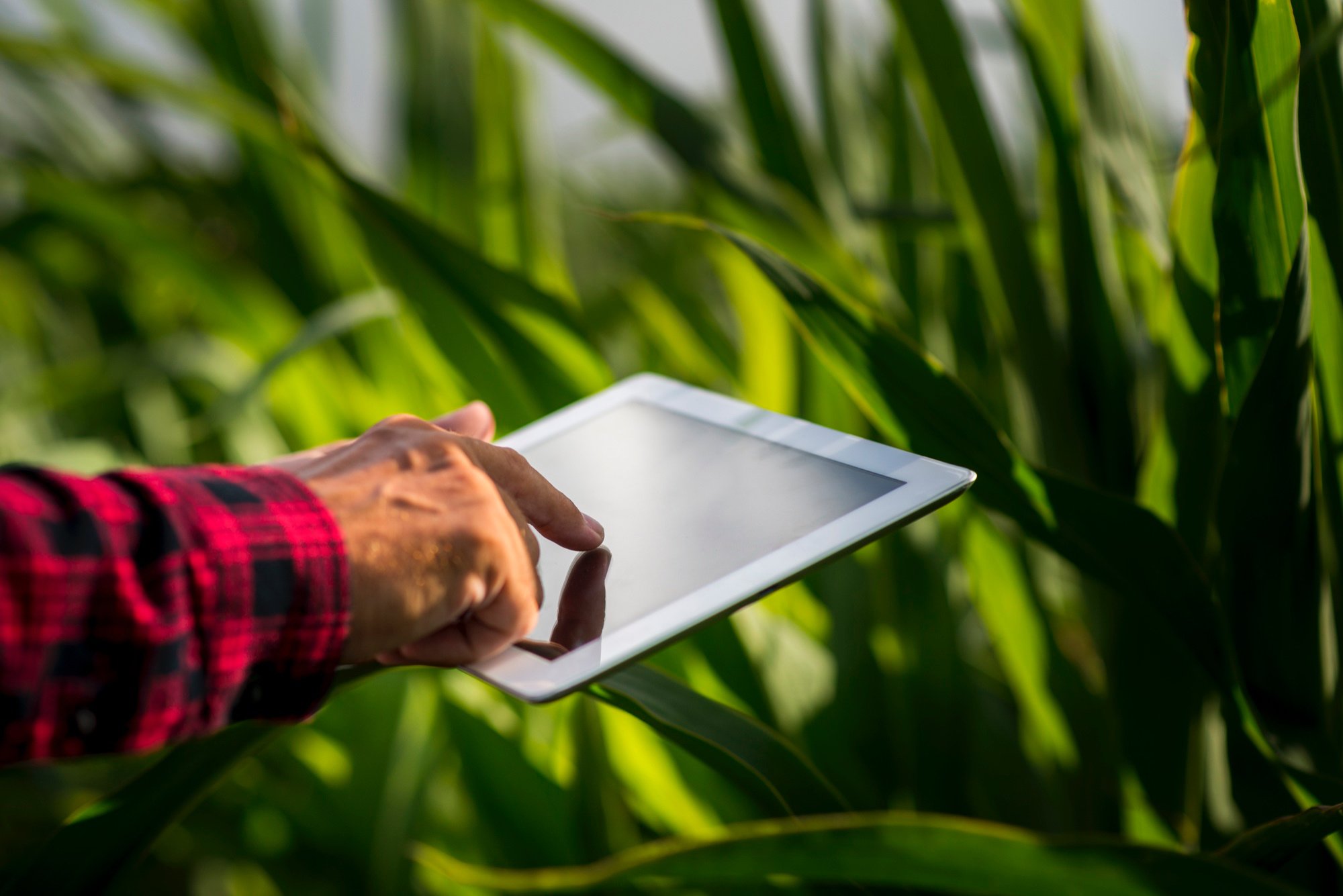 Mulesoft CS 6 - Delivering key Insights to farmers on their fingertips, using MuleSoft Anypoint Platform